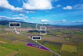 Çanakkale Yenice Hamdibey'de Anayol'a Cephe 4938M² Satılık Tarla