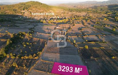 Çanakkale Yenice Kargacı'da 3293 M² Satılık Tarla !