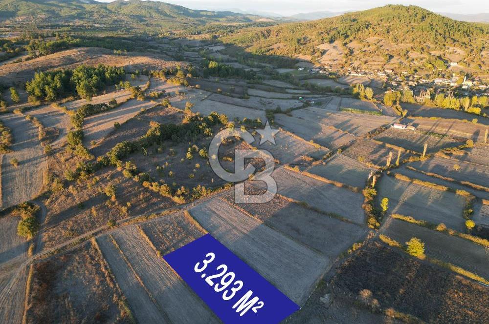 Çanakkale Yenice Kargacı'da 3293 M² Satılık Tarla !