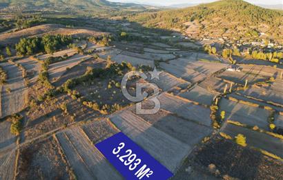 Çanakkale Yenice Kargacı'da 3293 M² Satılık Tarla !