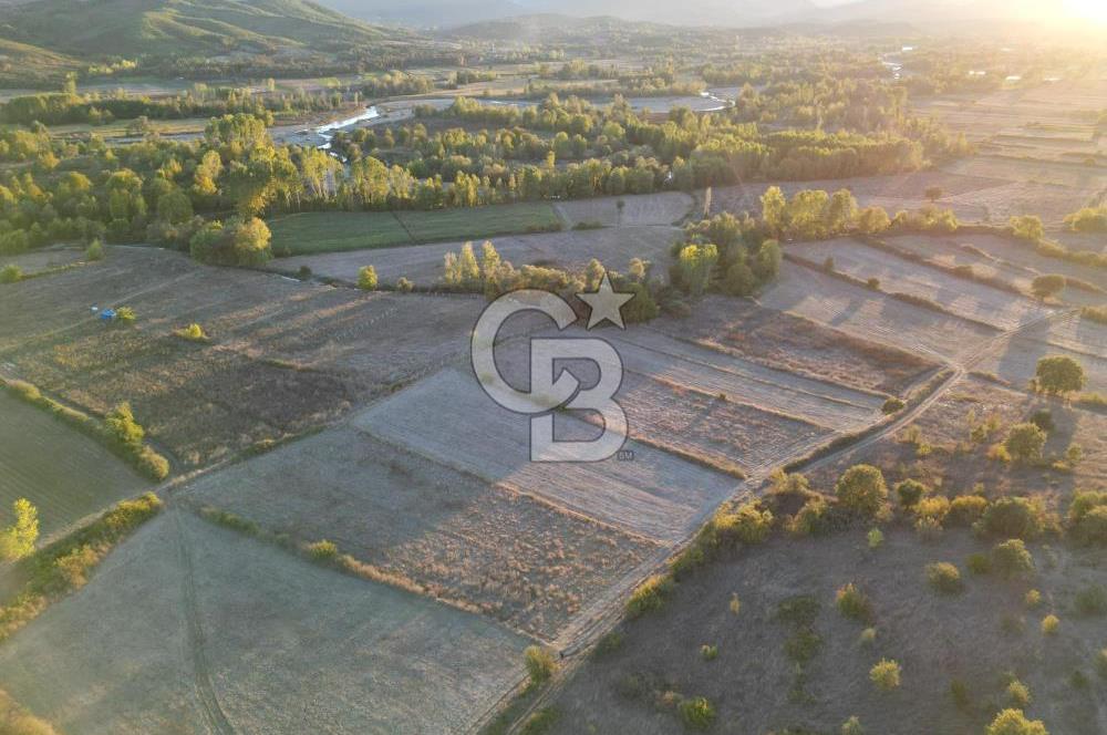 Çanakkale Yenice Kargacı'da 3293 M² Satılık Tarla !