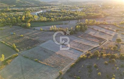 Çanakkale Yenice Kargacı'da 3293 M² Satılık Tarla !