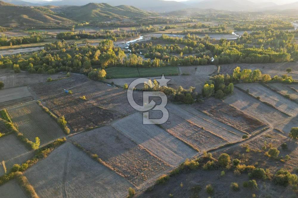 Çanakkale Yenice Kargacı'da 3293 M² Satılık Tarla !