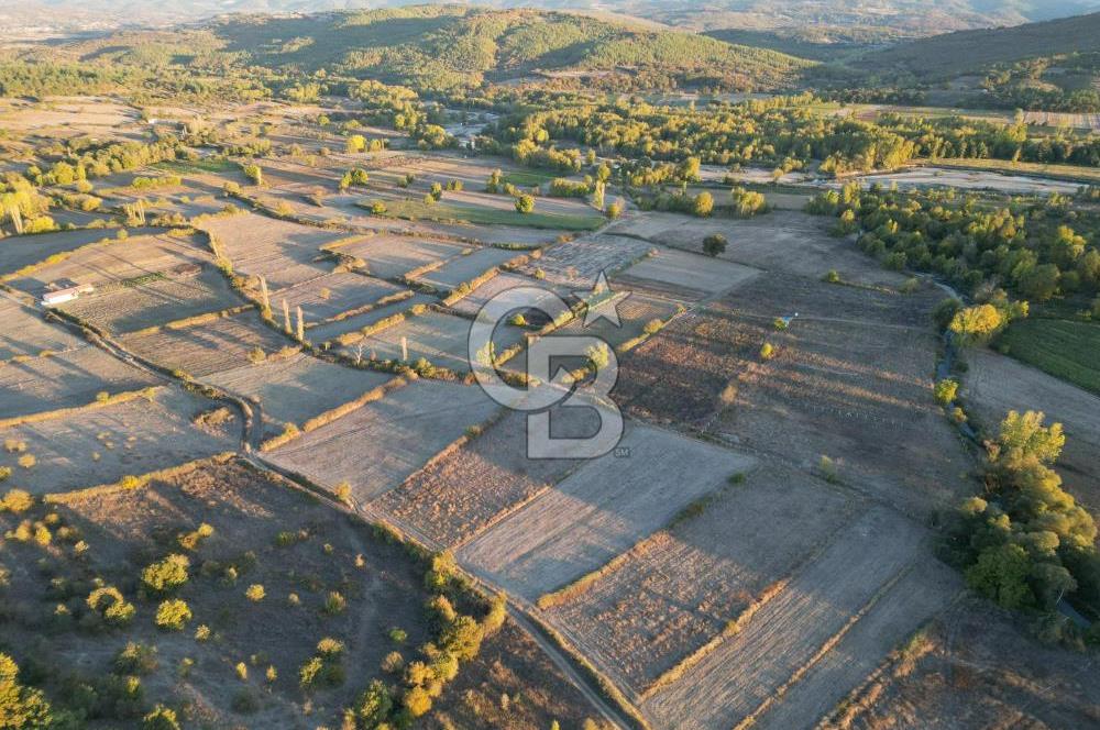 Çanakkale Yenice Kargacı'da 3293 M² Satılık Tarla !