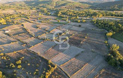 Çanakkale Yenice Kargacı'da 3293 M² Satılık Tarla !