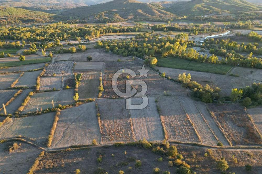 Çanakkale Yenice Kargacı'da 3293 M² Satılık Tarla !