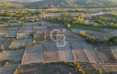 Çanakkale Yenice Kargacı'da 3293 M² Satılık Tarla !