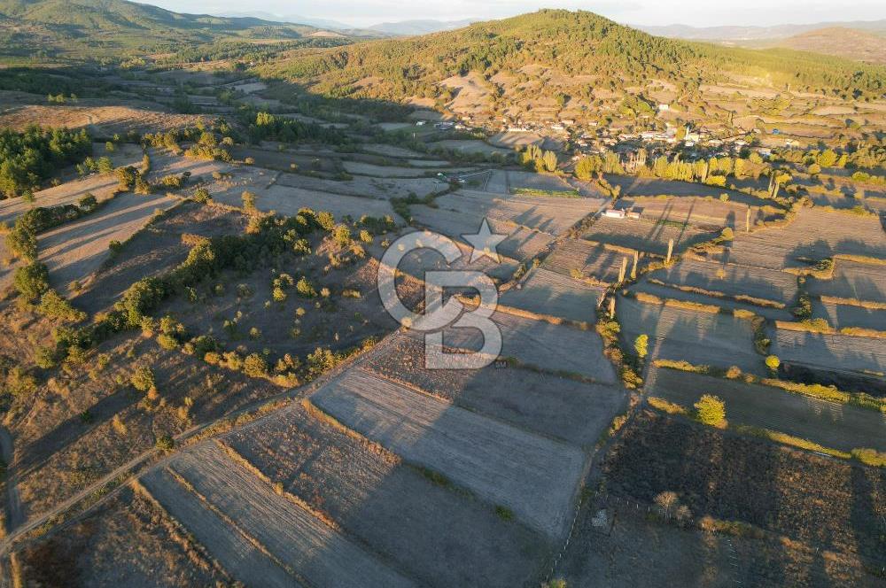 Çanakkale Yenice Kargacı'da 3293 M² Satılık Tarla !