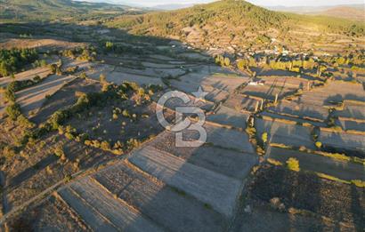 Çanakkale Yenice Kargacı'da 3293 M² Satılık Tarla !