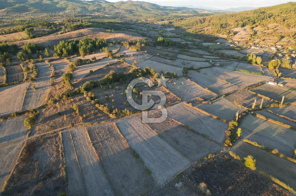 Çanakkale Yenice Kargacı'da 3293 M² Satılık Tarla !