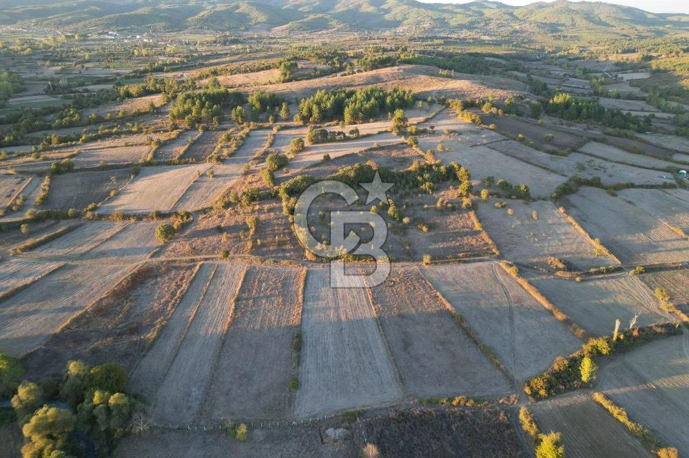 Çanakkale Yenice Kargacı'da 3293 M² Satılık Tarla !