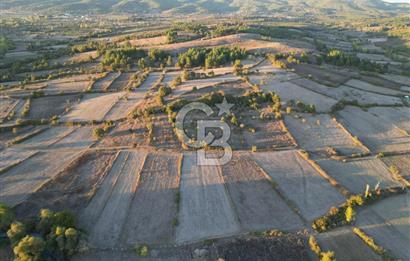 Çanakkale Yenice Kargacı'da 3293 M² Satılık Tarla !