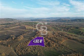 Çanakkale Yenice Hamdibey'de 4865 M² Satılık Tarla!
