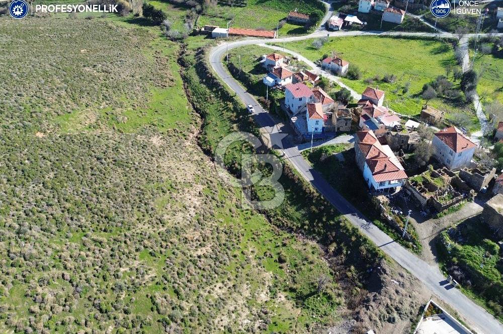 Karaburun Parlak Köyü'nde 1570 m² Ana Yola Cepheli Tarla
