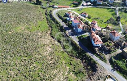 Karaburun Parlak Köyü'nde 1570 m² Ana Yola Cepheli Tarla