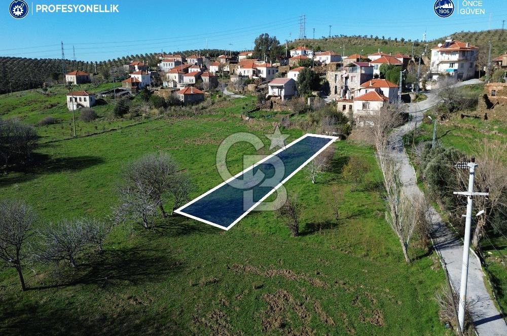 Karaburun Parlak Köy'ü İçinde 290 m² Bahçe