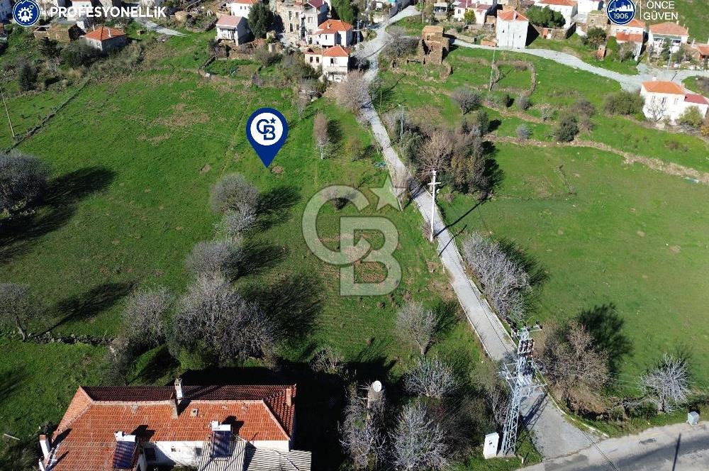 Karaburun Parlak Köy'ü İçinde 290 m² Bahçe