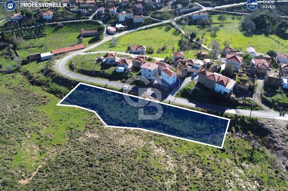 Karaburun Parlak Köyü'nde 1570 m² Ana Yola Cepheli Tarla