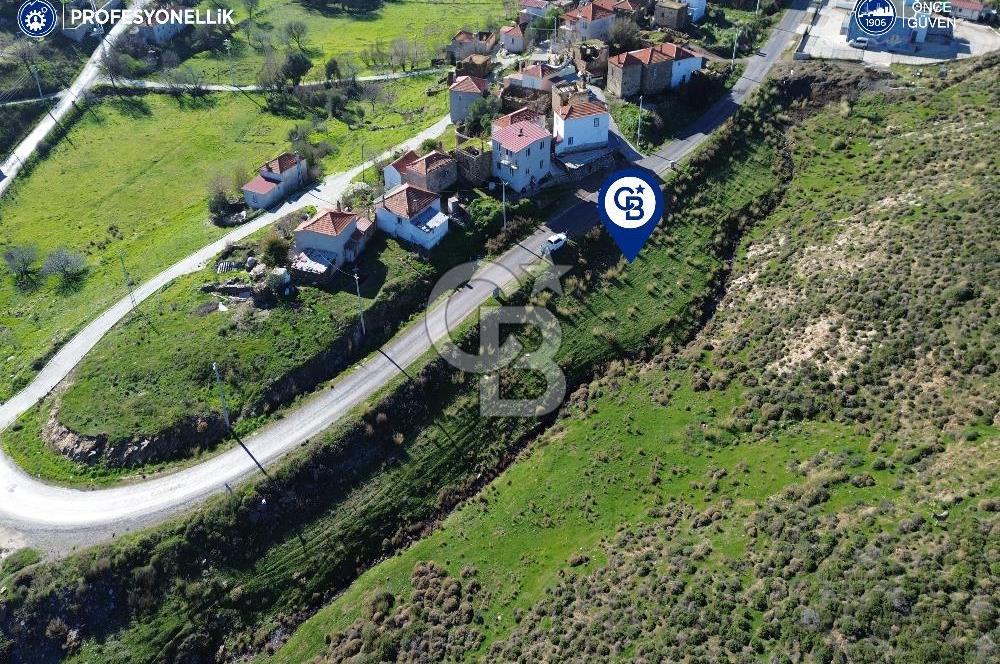 Karaburun Parlak Köyü'nde 1570 m² Ana Yola Cepheli Tarla