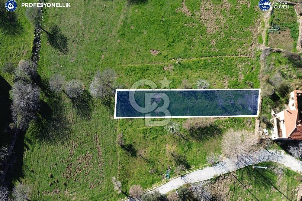 Karaburun Parlak Köy'ü İçinde 290 m² Bahçe