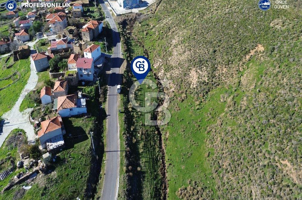 Karaburun Parlak Köyü'nde 1570 m² Ana Yola Cepheli Tarla