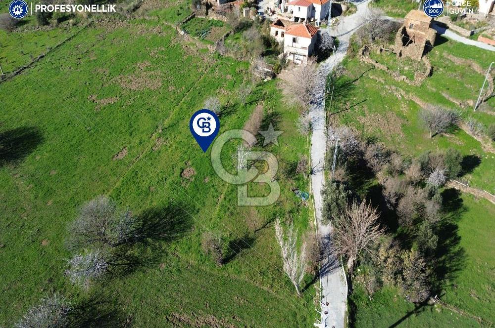Karaburun Parlak Köy'ü İçinde 290 m² Bahçe