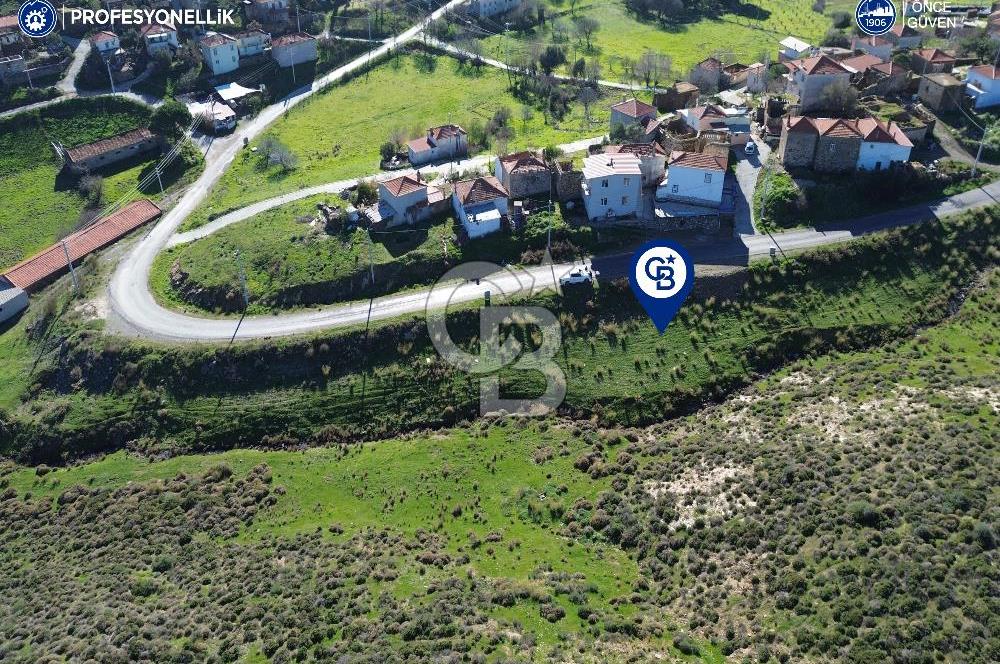 Karaburun Parlak Köyü'nde 1570 m² Ana Yola Cepheli Tarla