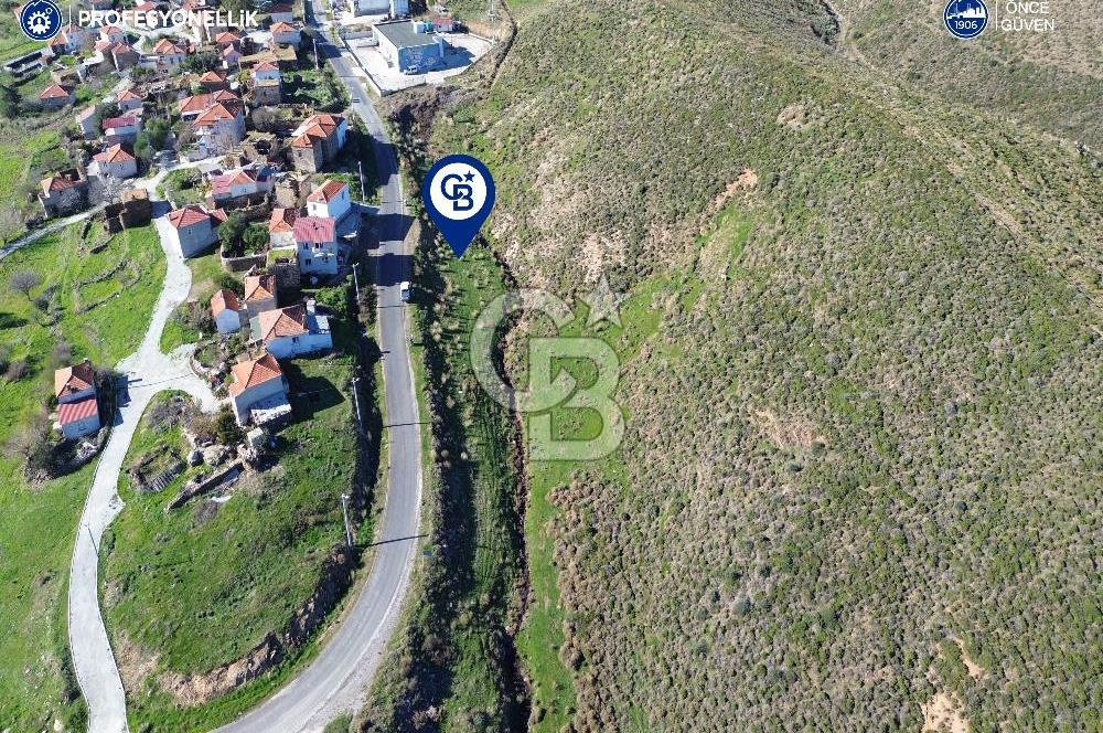 Karaburun Parlak Köyü'nde 1570 m² Ana Yola Cepheli Tarla
