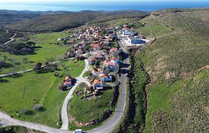 Karaburun Parlak Köyü'nde 1570 m² Ana Yola Cepheli Tarla