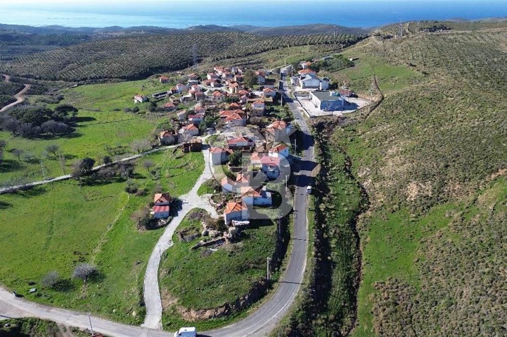 Karaburun Parlak Köyü'nde 1570 m² Ana Yola Cepheli Tarla