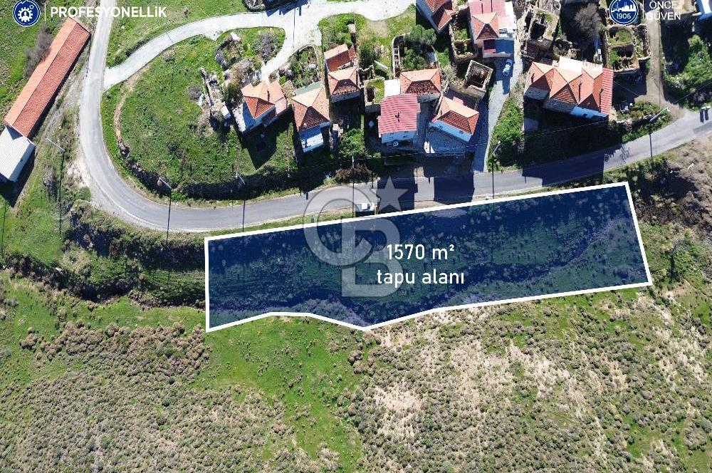Karaburun Parlak Köyü'nde 1570 m² Ana Yola Cepheli Tarla
