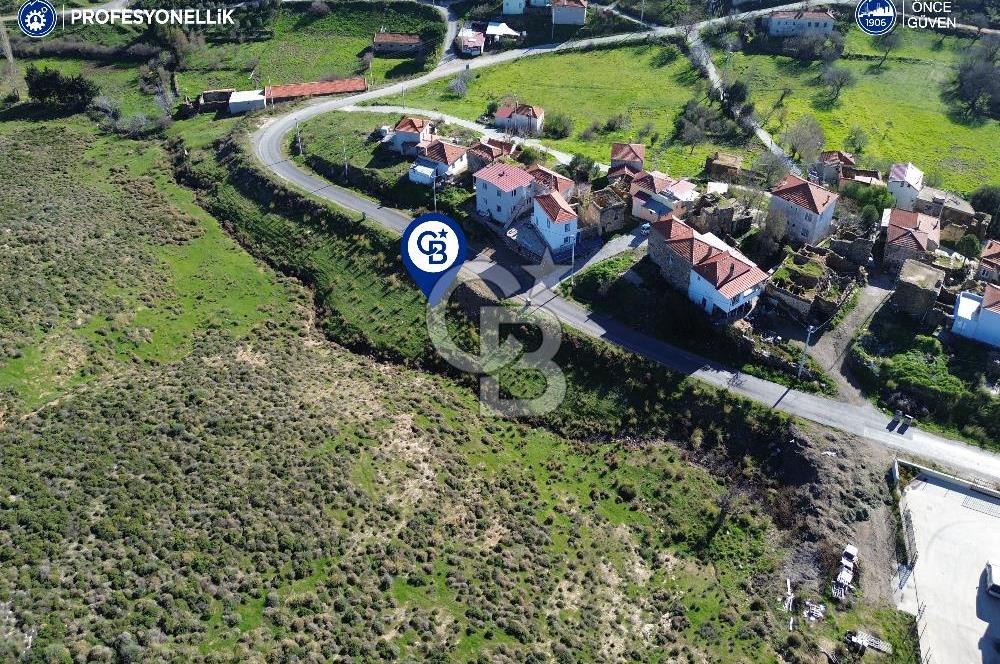 Karaburun Parlak Köyü'nde 1570 m² Ana Yola Cepheli Tarla