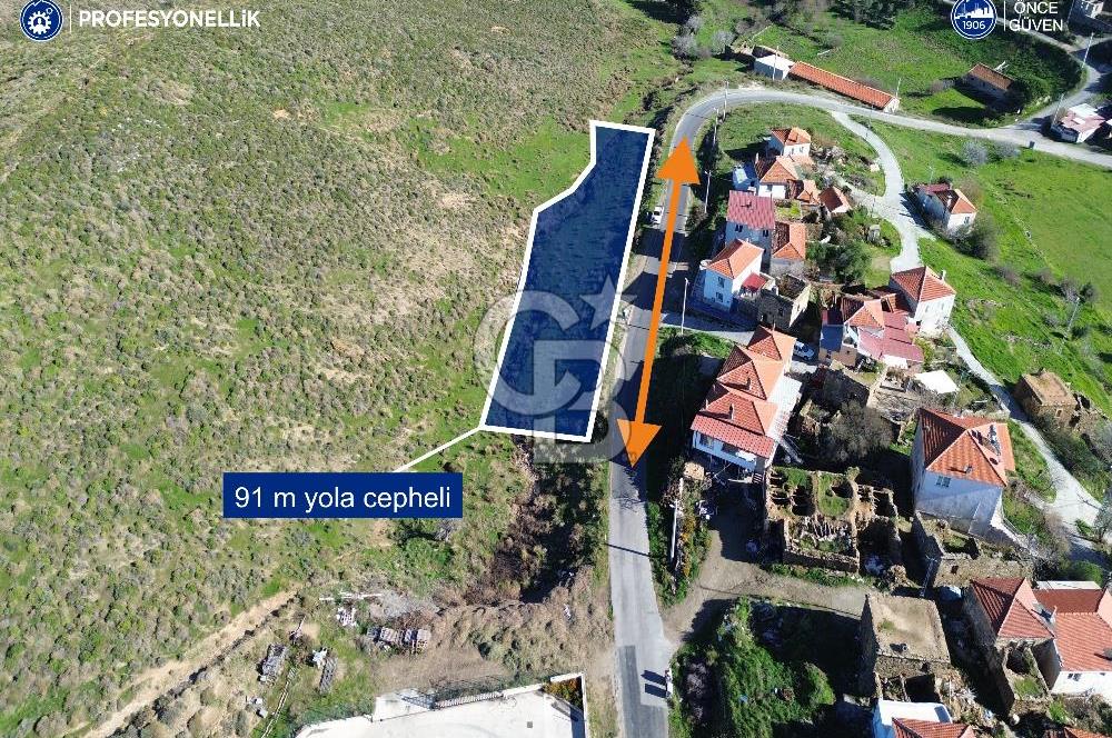 Karaburun Parlak Köyü'nde 1570 m² Ana Yola Cepheli Tarla