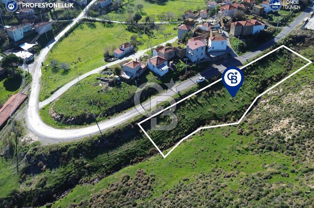 Karaburun Parlak Köyü'nde 1570 m² Ana Yola Cepheli Tarla