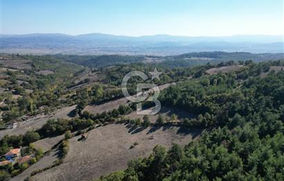 Çanakkale Yenice Umurlar Köyünde Satılık 720 M² Arsa !