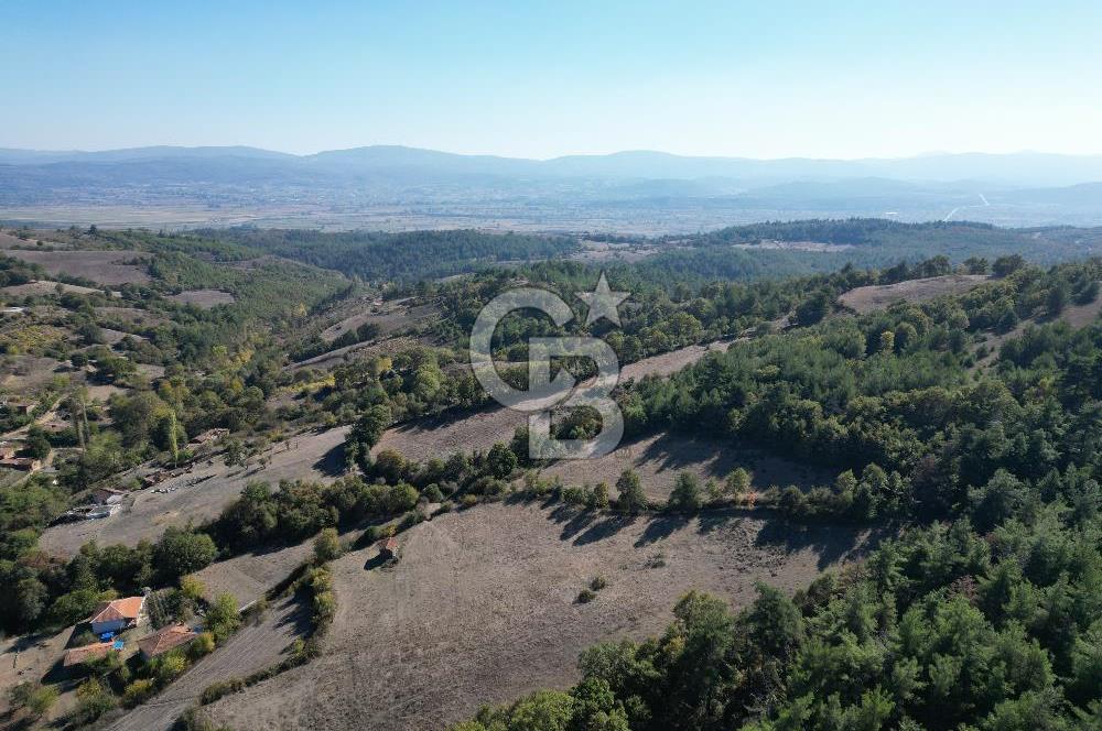 Çanakkale Yenice Umurlar Köyünde Satılık 720 M² Arsa !