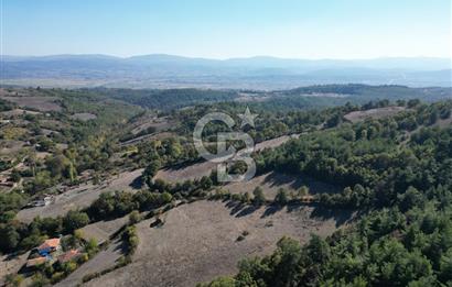 Çanakkale Yenice Umurlar Köyünde Satılık 720 M² Arsa !