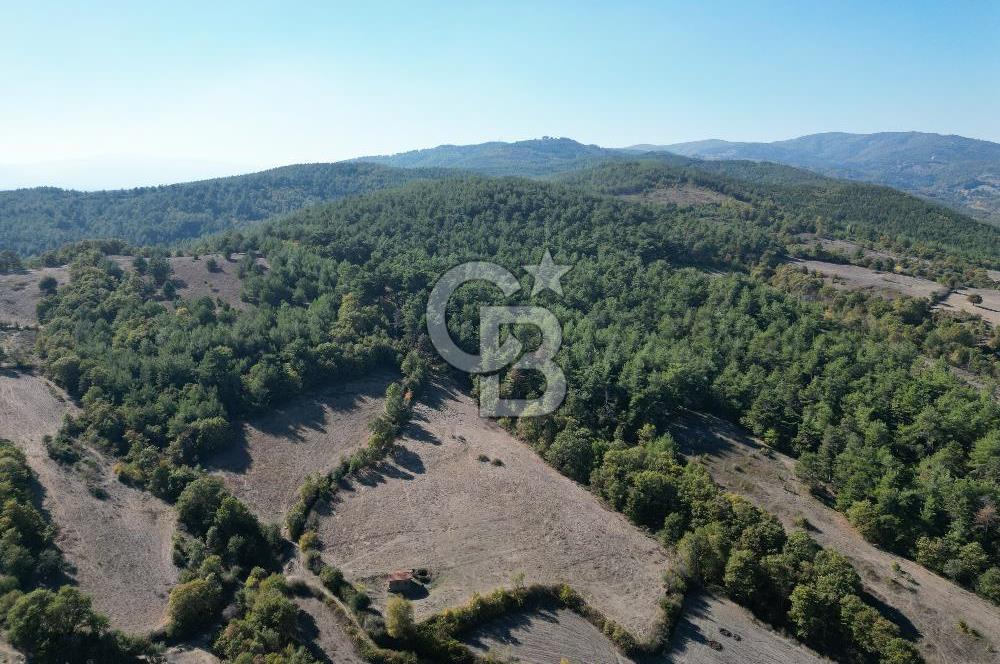 Çanakkale Yenice Umurlar Köyünde Satılık 720 M² Arsa !