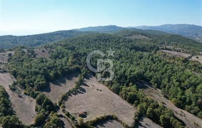 Çanakkale Yenice Umurlar Köyünde Satılık 720 M² Arsa !