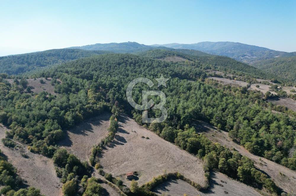Çanakkale Yenice Umurlar Köyünde Satılık 720 M² Arsa !