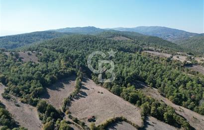 Çanakkale Yenice Umurlar Köyünde Satılık 720 M² Arsa !