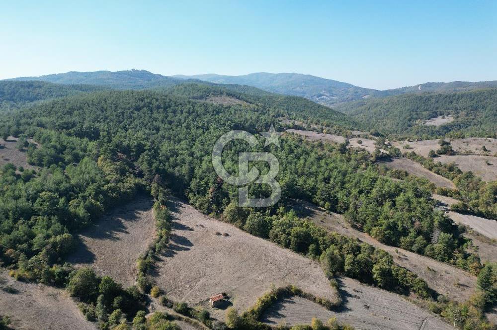 Çanakkale Yenice Umurlar Köyünde Satılık 720 M² Arsa !