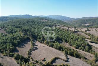 Çanakkale Yenice Umurlar Köyünde Satılık 720 M² Arsa !