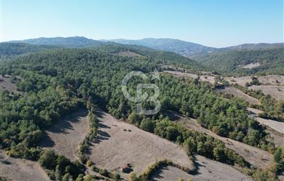 Çanakkale Yenice Umurlar Köyünde Satılık 720 M² Arsa !