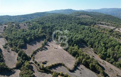 Çanakkale Yenice Umurlar Köyünde Satılık 720 M² Arsa !