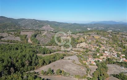Çanakkale Yenice Umurlar Köyünde Satılık 720 M² Arsa !