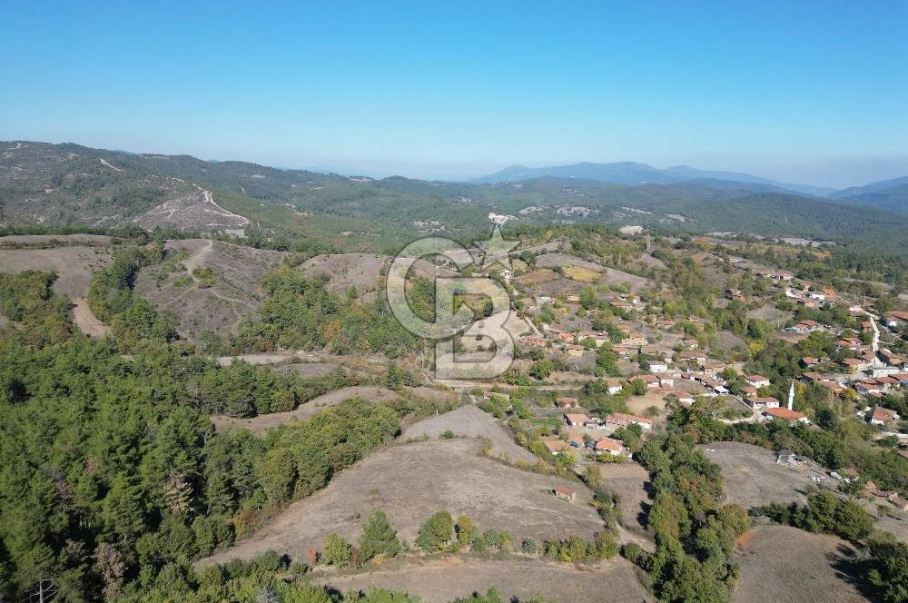Çanakkale Yenice Umurlar Köyünde Satılık 720 M² Arsa !