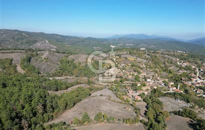 Çanakkale Yenice Umurlar Köyünde Satılık 720 M² Arsa !