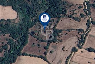 ÇANAKKALE ÇINAR KÖYÜNDE 10.100 M² ARAZİ FIRSATI!