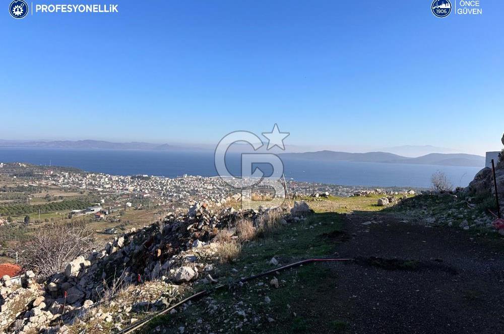 Karaburun Çatalkaya Köy Merkez'inde 323 m² İmarlı Arsa